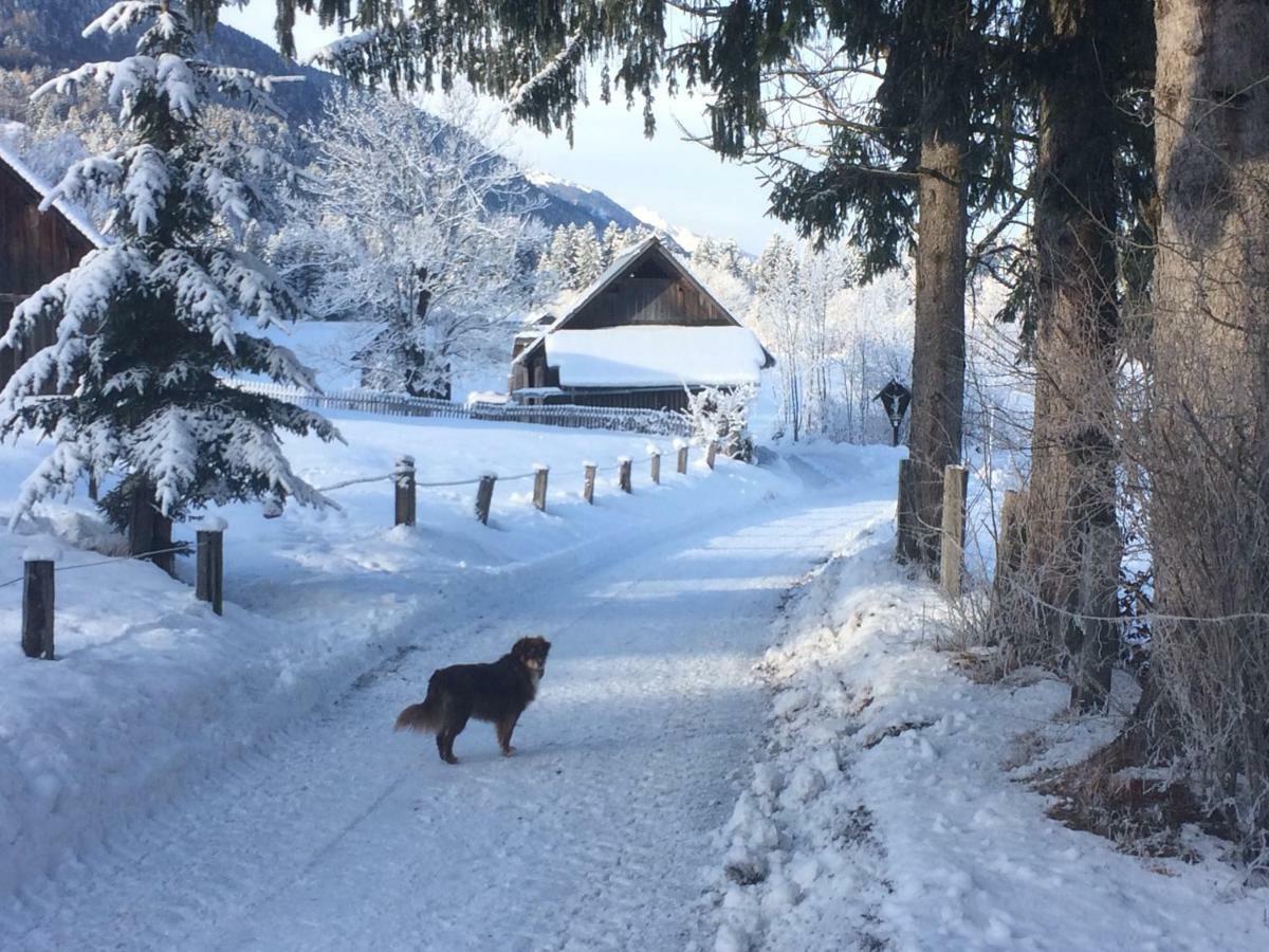 Ferienwohnungen Gritzner เทรอโพลาค ภายนอก รูปภาพ